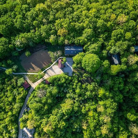 Tree Elements Treehouse Retreat Daire Slunj Dış mekan fotoğraf