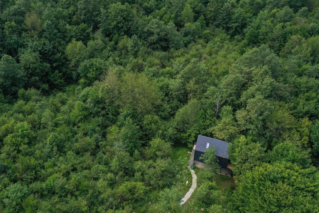 Tree Elements Treehouse Retreat Daire Slunj Dış mekan fotoğraf