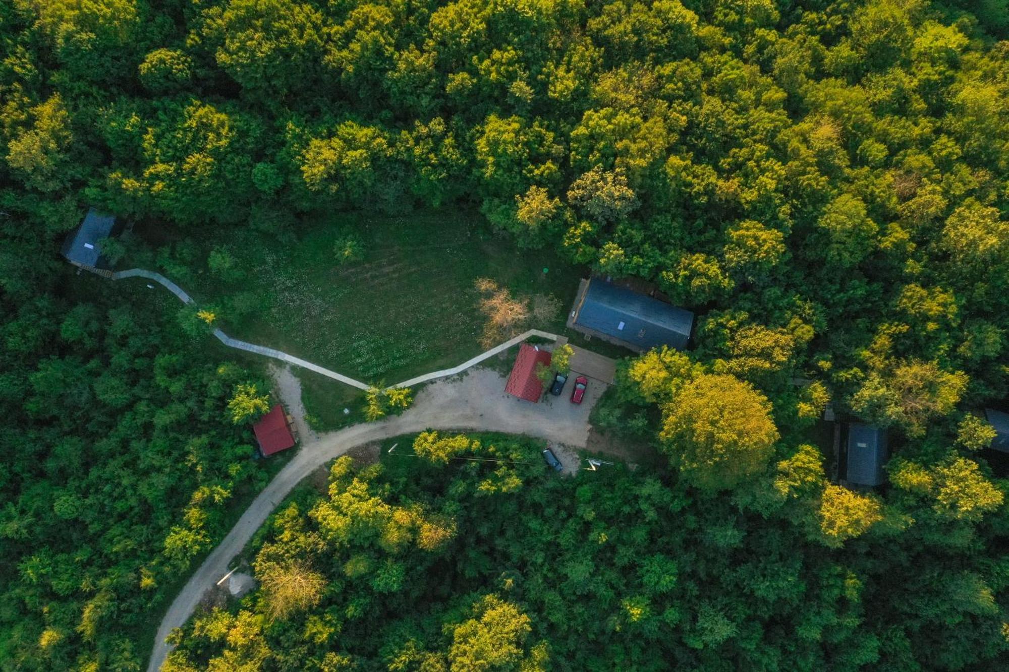 Tree Elements Treehouse Retreat Daire Slunj Oda fotoğraf
