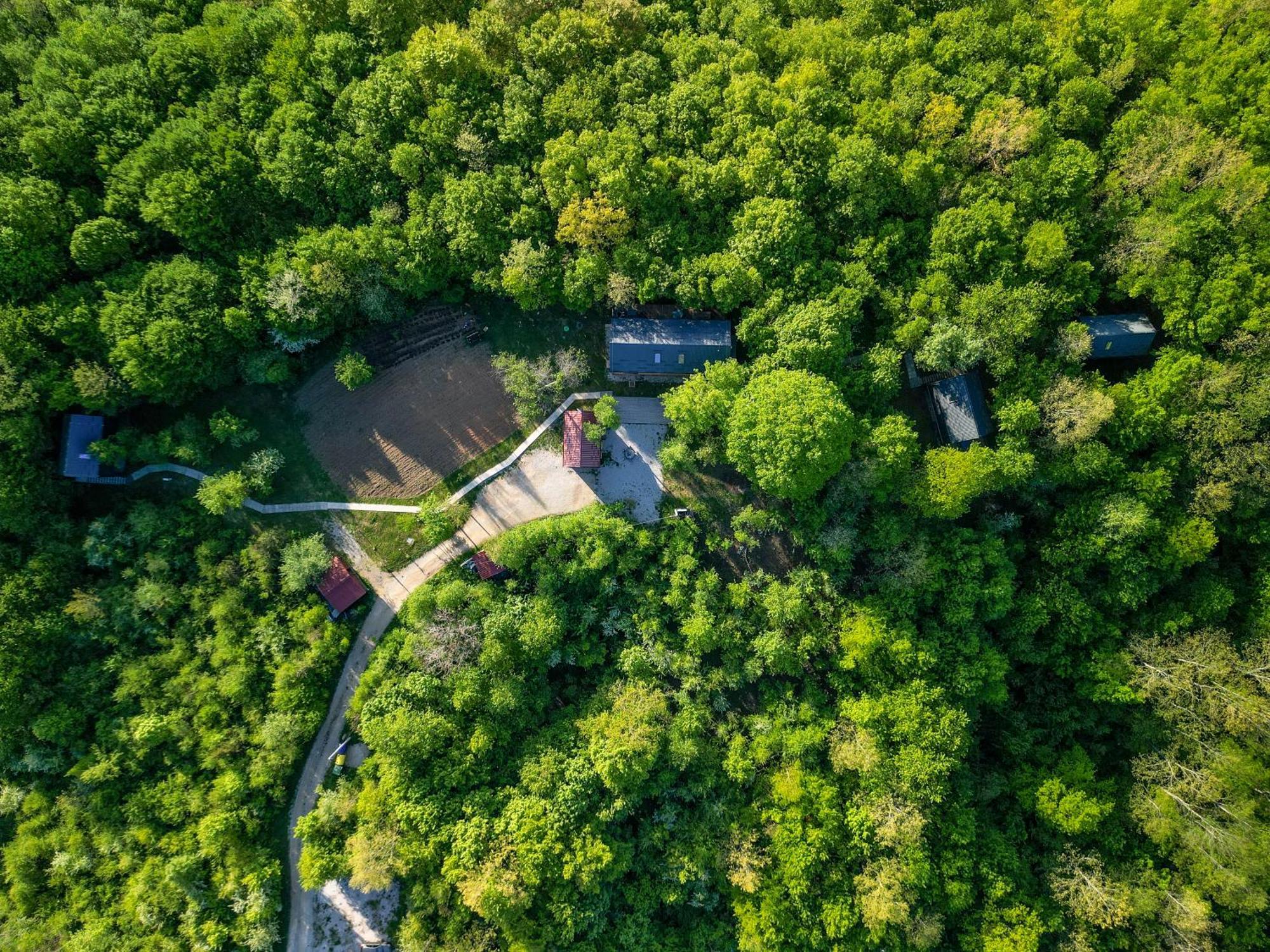Tree Elements Treehouse Retreat Daire Slunj Dış mekan fotoğraf